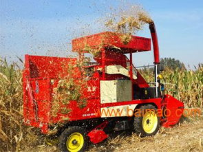 邢台物超所值 自走式玉米收获机选购指南